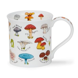 Bute Mushroom & Toadstool Red mug
